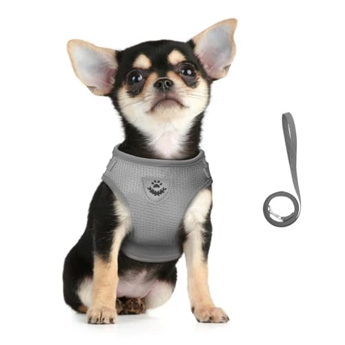 FEimaX Dog Harness and Leash Set for Walking, Soft Mesh Adjustable Easy Control Lightweight Cat Vest Harnesses with Reflec...