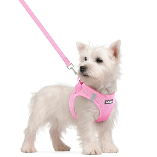 rabbitgoo Dog Harness Small Sized and Leash Set, Step in Soft Light Puppy Vest, Breathable Mesh Pet Harness, Reflective fo...