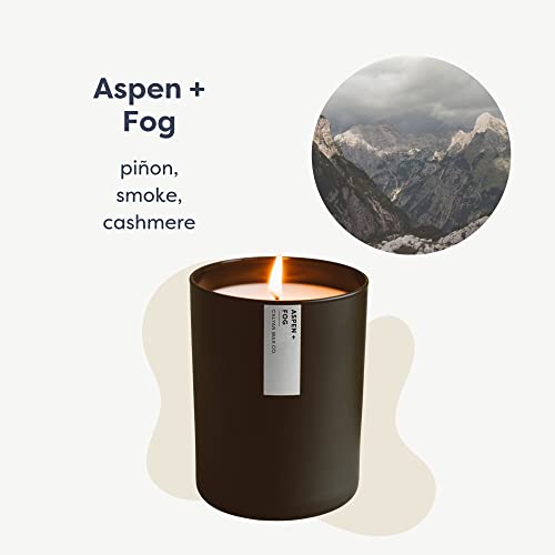 Calyan Wax Co. Aspen & Fog Scented Candle - 75 Hour Burn - Luxury Clean Soy Wax Candles - Long Lasting Black Tumbler Jar C...