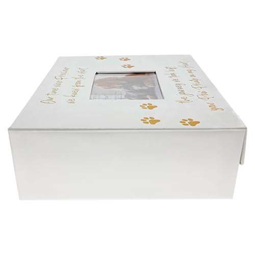 Pavilion Gift Company - Paw Prints On My Heart - Memory Box With 5" x 4" Photo Holder Loss Of Pet Cat Dog Bereavement In M...