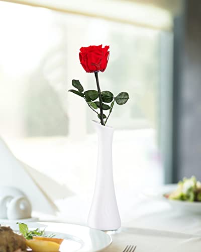 SofLiv Flowers for Delivery Prime, Preserved Roses Flower Gifts for Women, Real Roses Single Rose Presents for Her, Mom Bi...