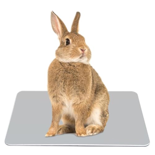 Elome Pet Cooling Pad, 11.8" X 7.9" Aluminum Summer Animal Cool Mat Plate Ice Bed Cage Accessories for Dog, Cat, Rabbit, H...
