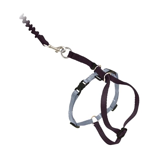 PetSafe Come with Me Kitty Harness and Bungee Leash, Large, Black