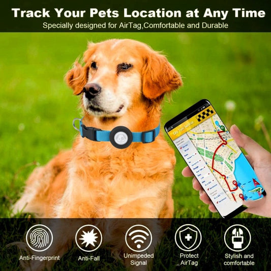 Dog Collar Waterproof Silicone Case Solid Color Nylon Ribbon Pet Supplies