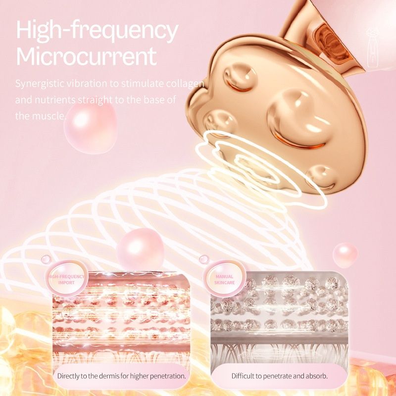 Cross-border E-commerce Exclusive Beauty Ion Device