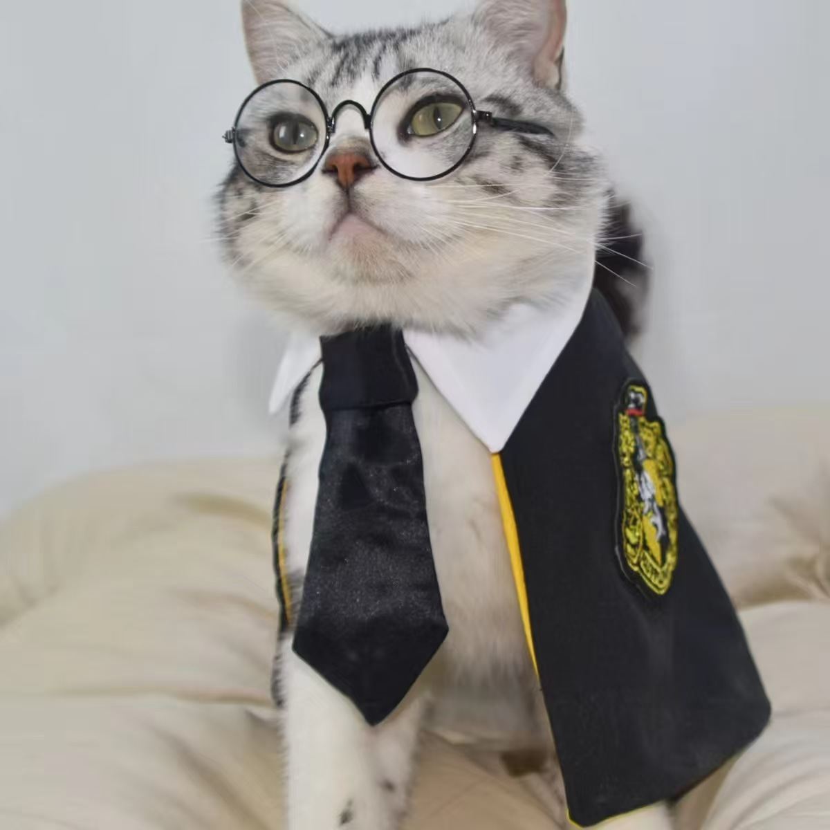 Pet Cat Dog Magic Harry Potter Glasses Small Cloak Robe Shawl College Internet Celebrity