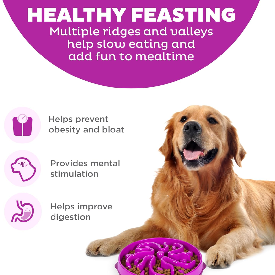 Hound Feeder Slo Bowl  Large 4 Cup Capacity, Slow Feeding, Medium To Large Dogs, Non Slip, Purple, Flower Pattern