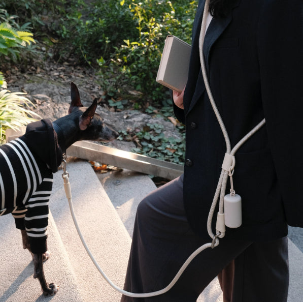 Pet Leash Hands-free Cross-body Waist-worn Multi-functional