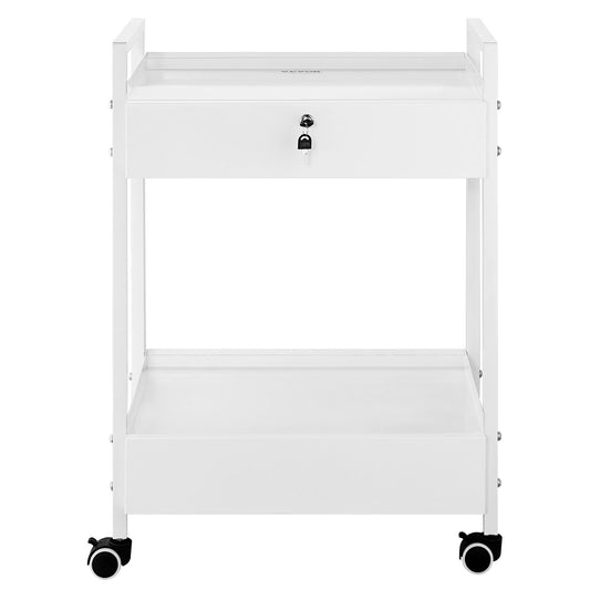 Lab Cart, 2 Tiers Stainless Steel Utility Cart, Medical Cart With 2 Drawers, Rolling Lab Cart White Paint, Serving Cart With Swivel Casters For Laboratory, Hospital, Dental, Salon And Beauty
