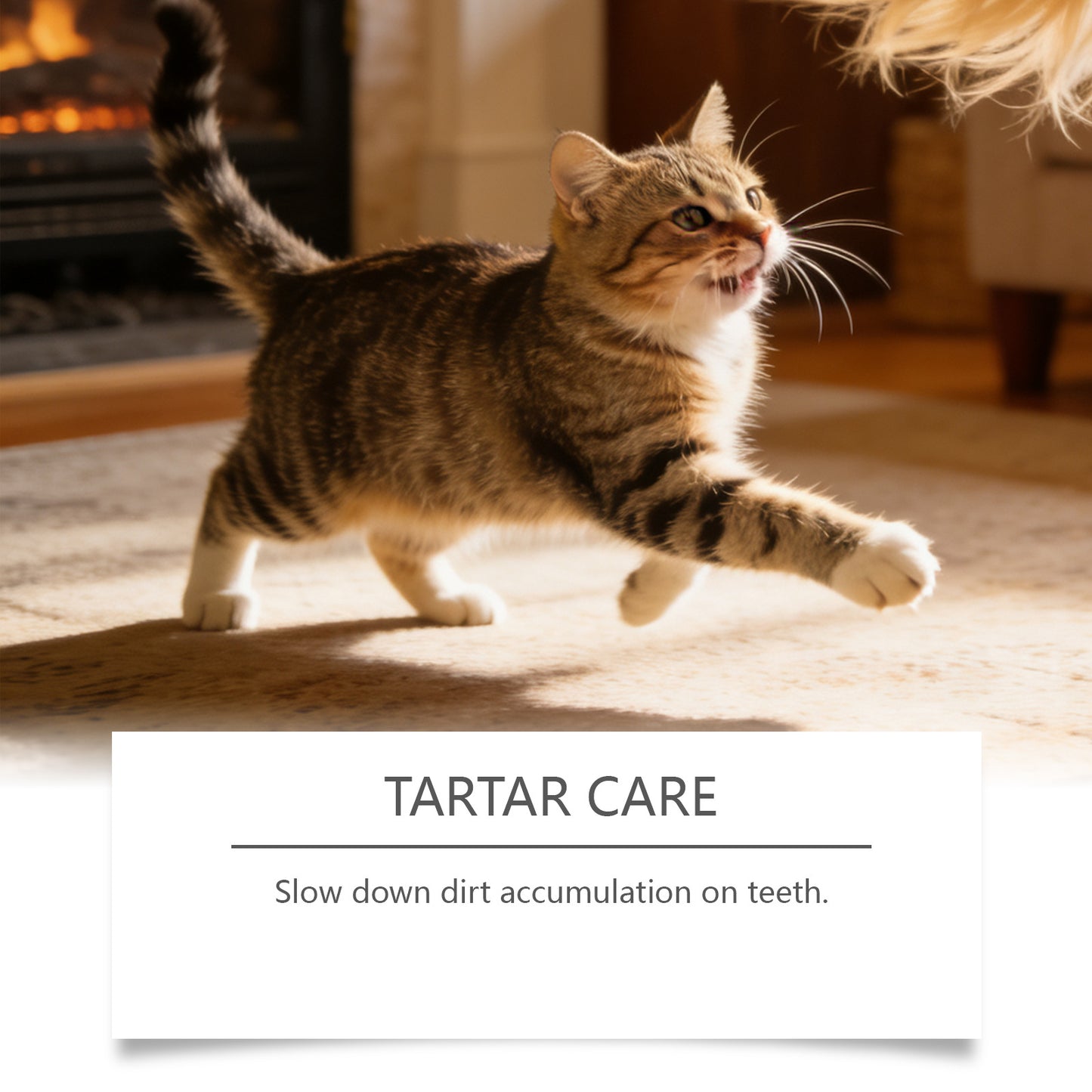 Pet Oral Care Spray