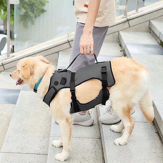 Assistance For A Pet Dog With Weak Legs