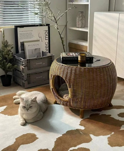 Wicker Tea Minimalist Modern Small Round Low Side Table