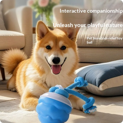 Rechargeable Dog-Playing Ball Smart Toy For Dogs