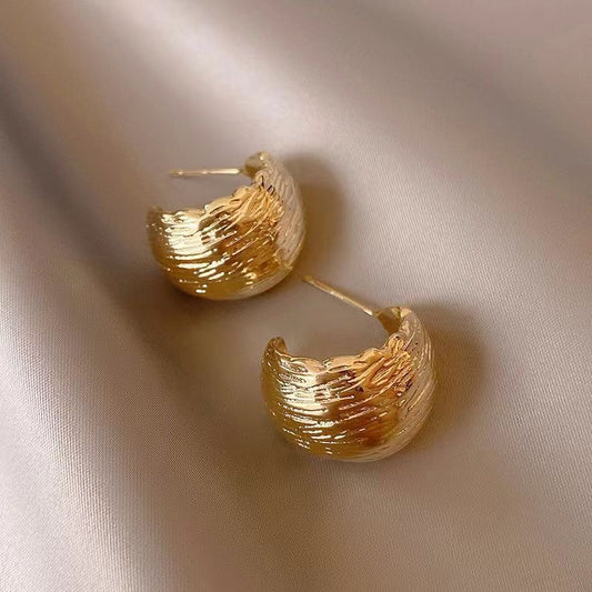 Minimalist Style Brushed Metal Earrings Female Sterling Silver Needle Premium Fashion Jewelry