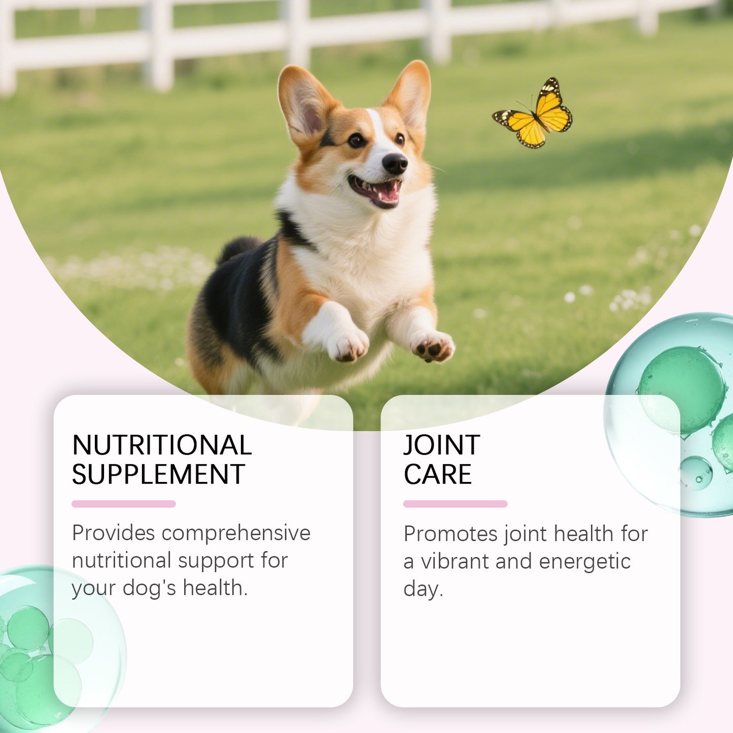 Kriath Pet Nutritional Drops - Gentle Formula For Coat And Skin Care, A Supplement To Main Dog Food