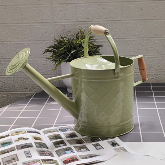 Large Watering Can For Home Gardening Vegetable Growing And Flower Care European And American Style