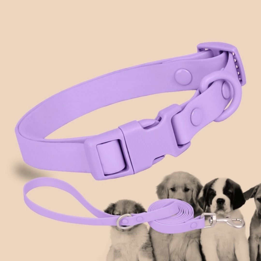 Macaron Color Pet Waterproof And Stain Resistant Silicone Pulling Rope