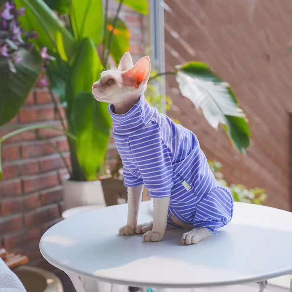 Pet Clothes Cat Spring Summer New Arrival Belly-Protecting Full-Covering