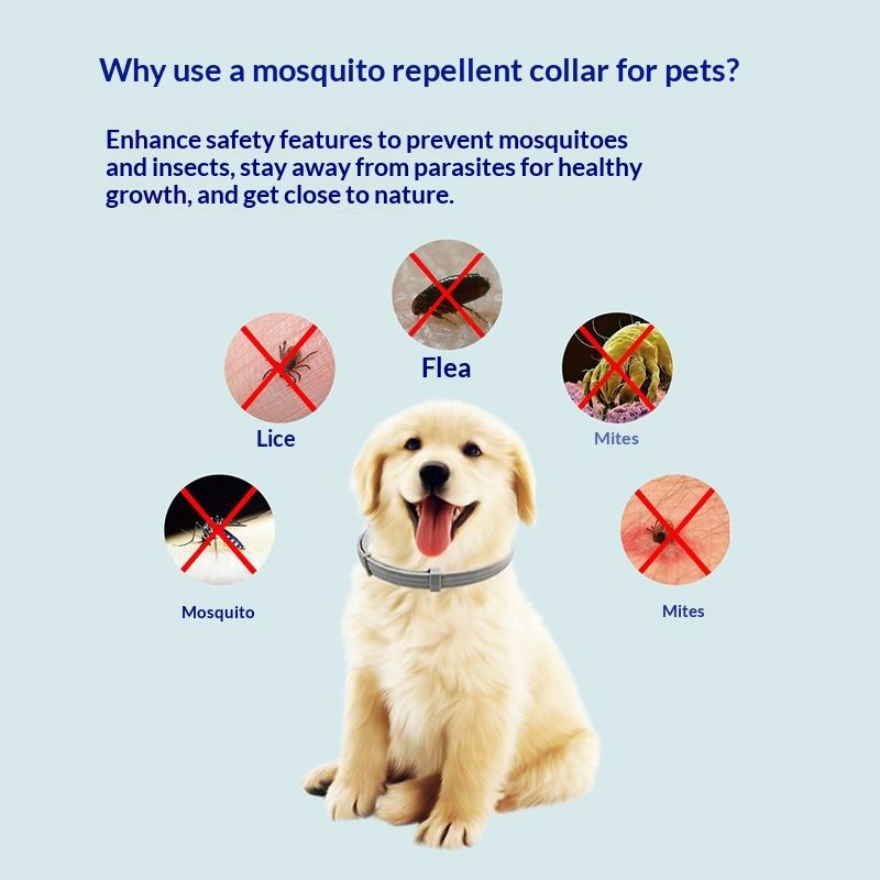 Pet Supplies Deworming Collar Stainless Steel