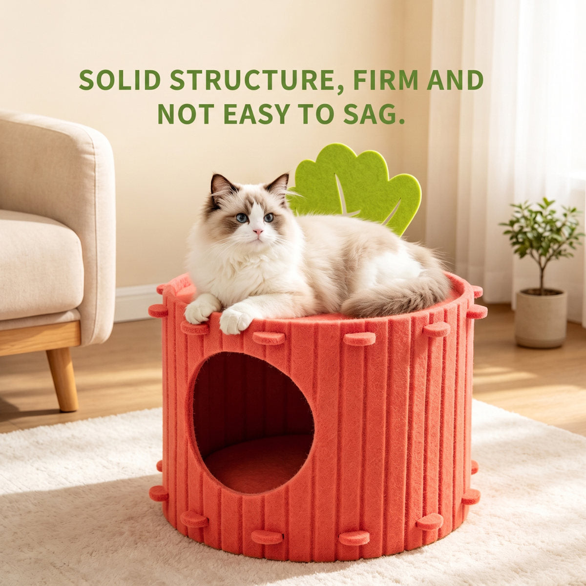 Only Self Pickup---Felt Radish Pet House