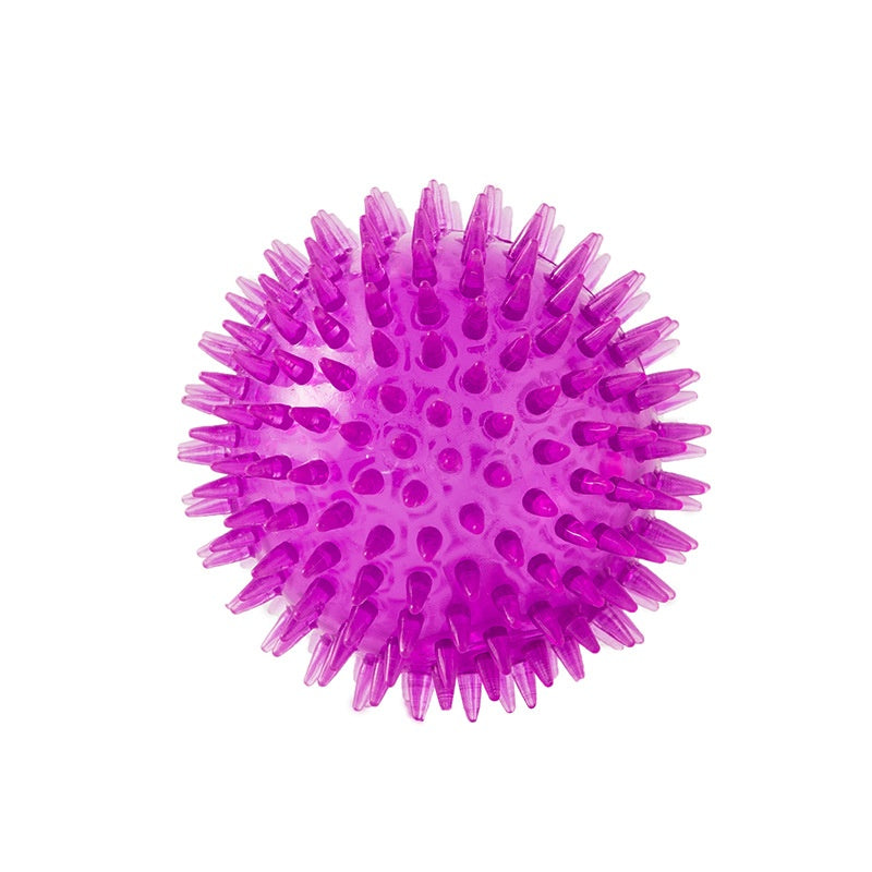Cross-border Pet Dog Toy Ball