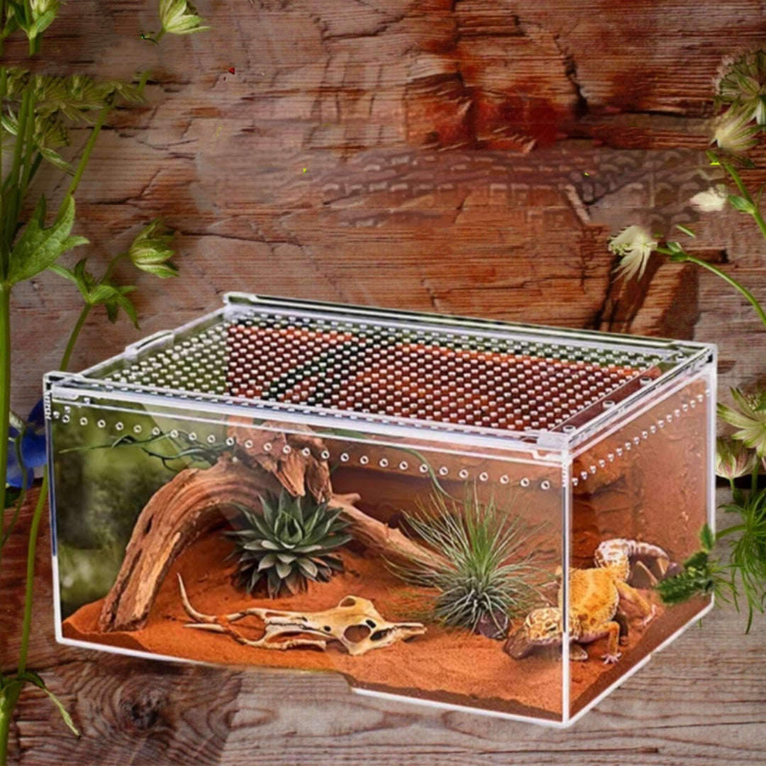 Crawler Acrylic High Permeability Feeding Box