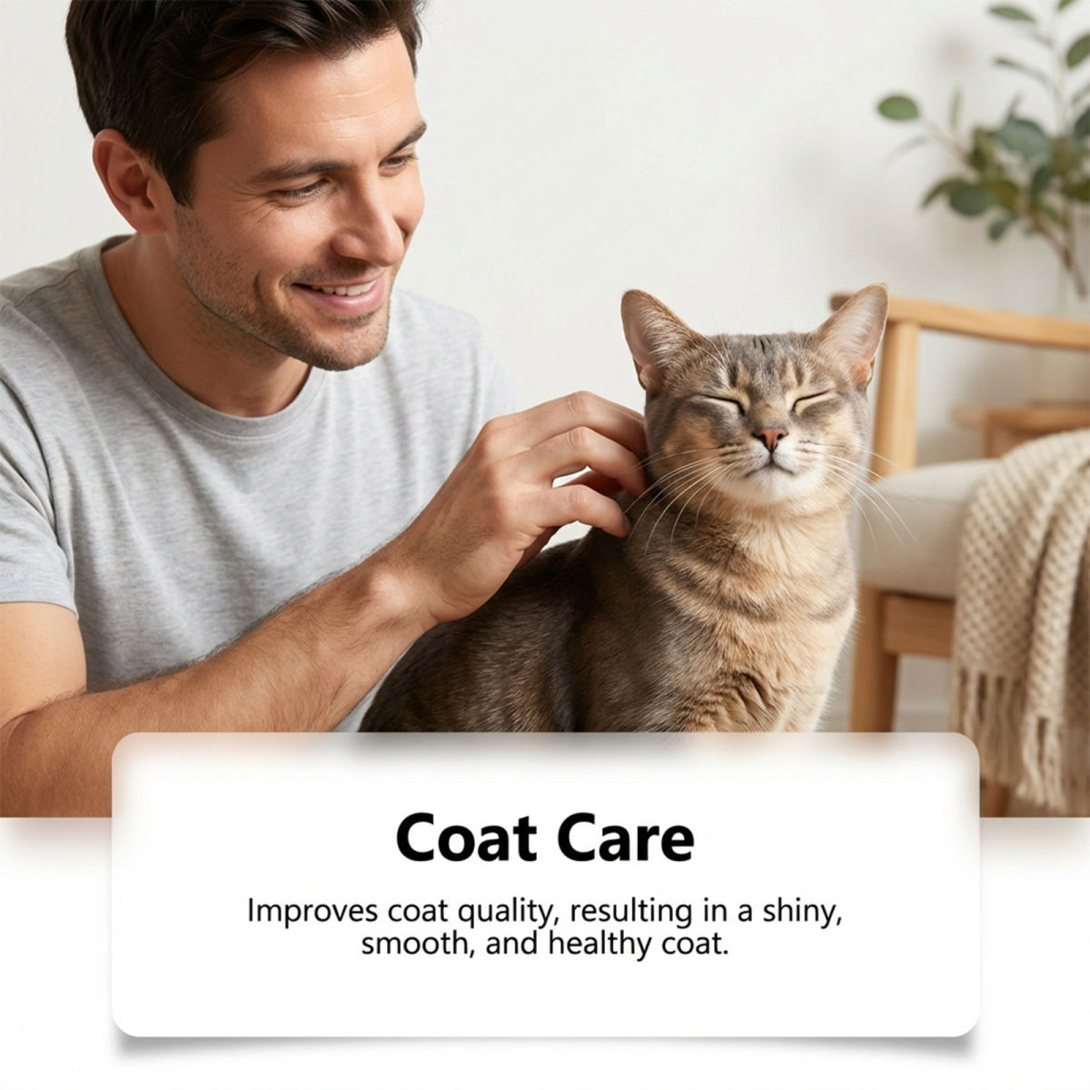 Pet Collagen Drops