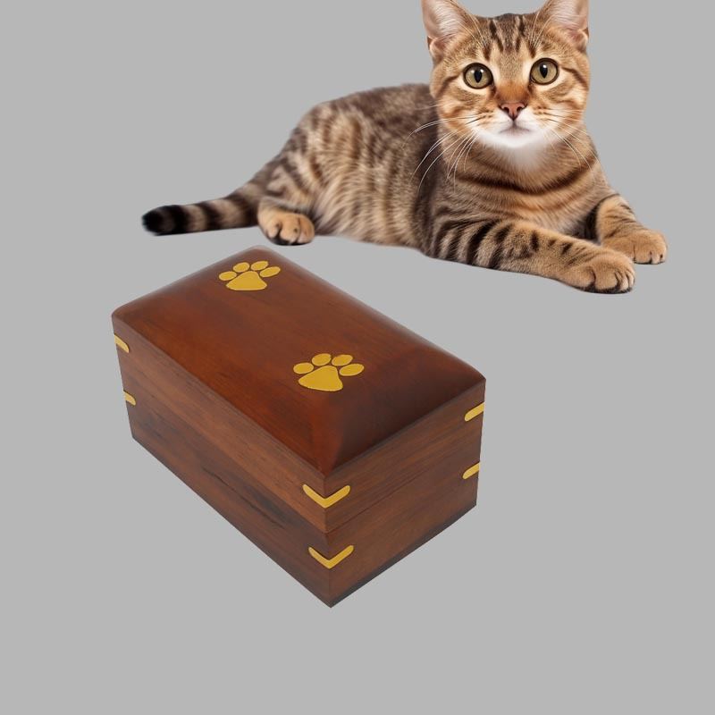 Wooden Square Pet Moisture-proof Urn