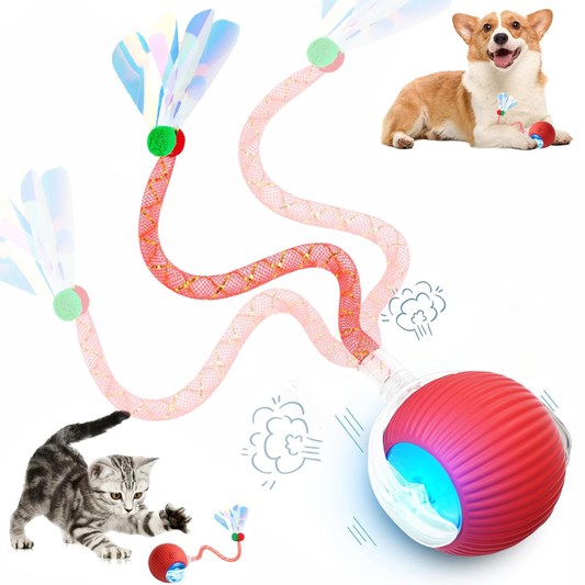 Tail Interactive Cat Toys For Indoor Cats, Motion Activate Cat Toy, Smart Kitten Rolling Ball Moving Ball Toys, Rechargeable Dog Cats Ball For Enrichment Exercise