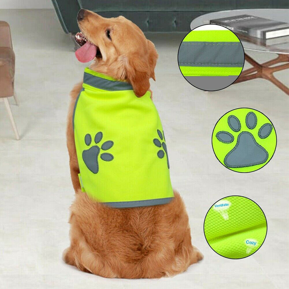 Pet Leash Reflective Breathable Adjustable Life Vest