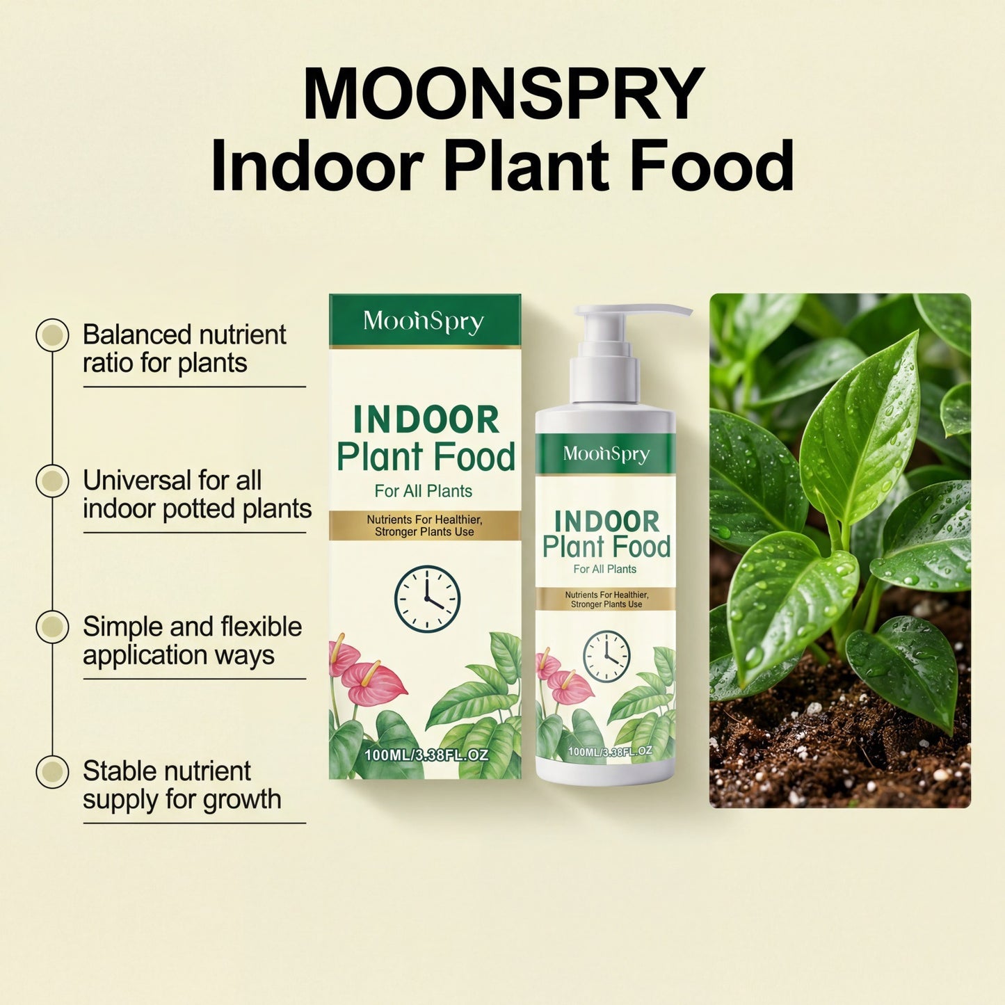 Indoor Plant Food