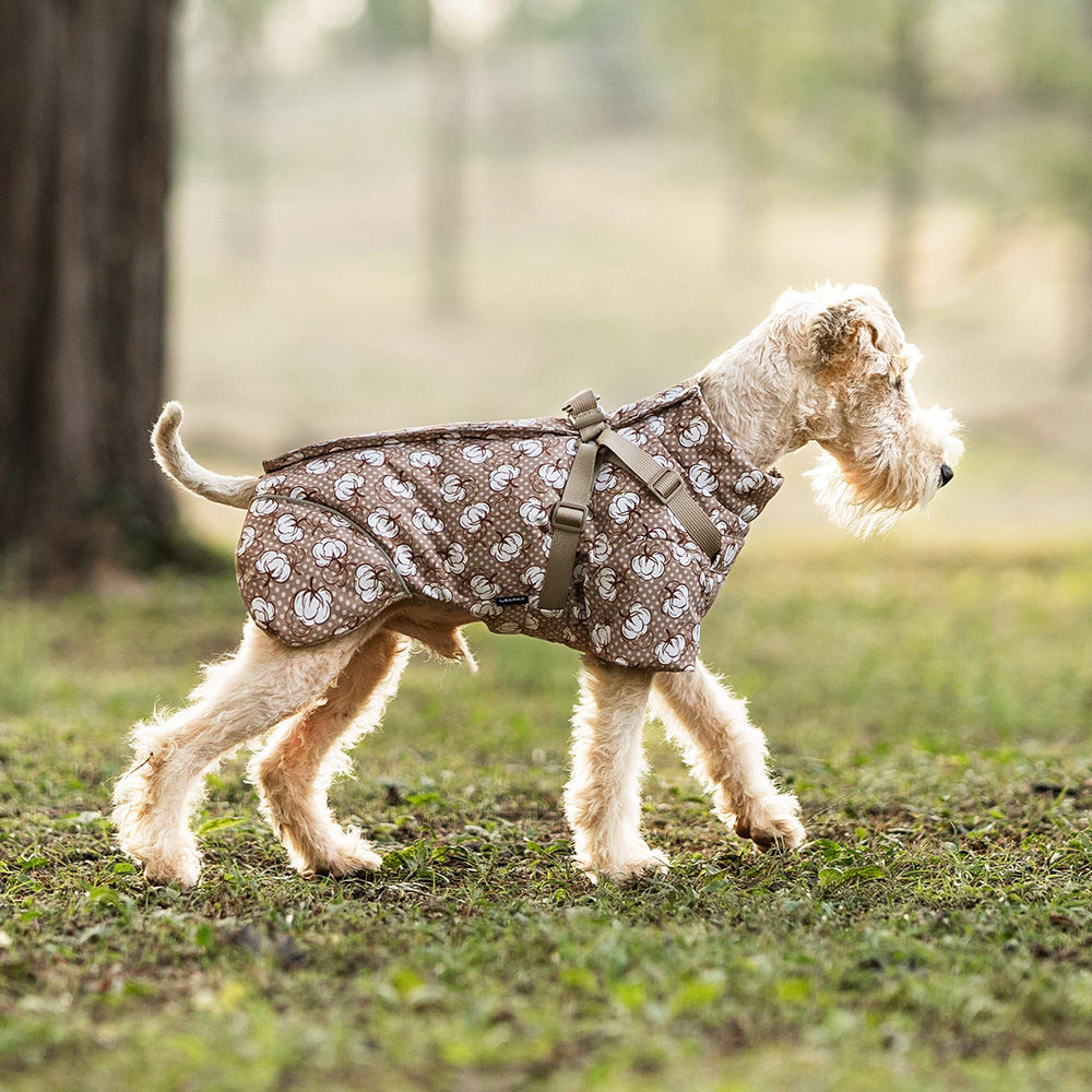 Pet Thickened Two-Legged Warm Outdoor Windproof Clothing
