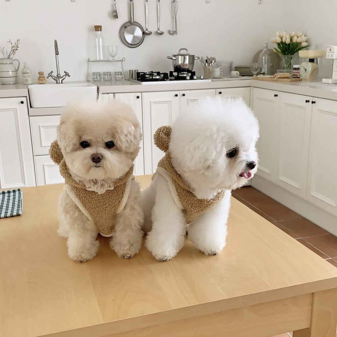 Warm Pet Clothes CloakCape For Small And Medium-Sized Dogs