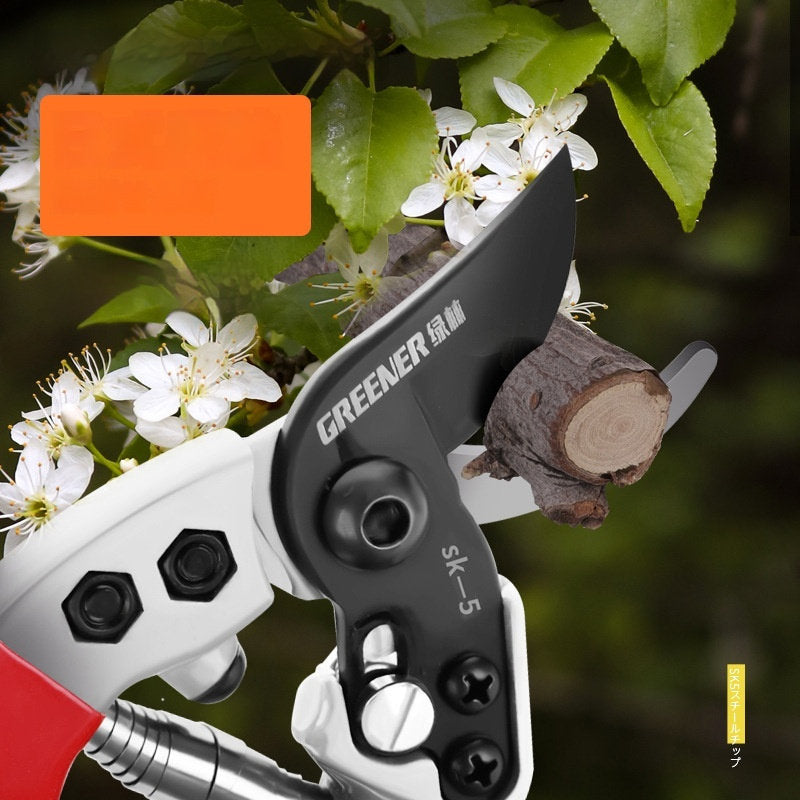 Green Forest Scissors Professional Gardening Tools