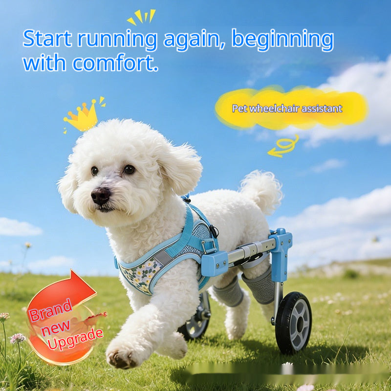 Lightweight Pet Assist Vehicle Rear Leg Support