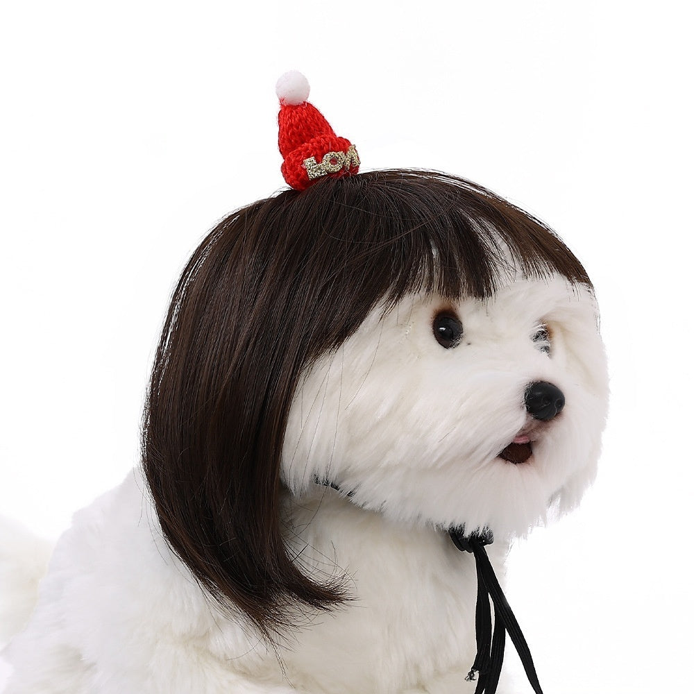 Halloween Pet Wig For Curly Or Straight Hair