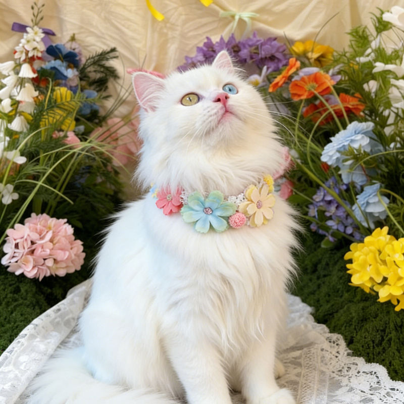 Cute Flower Collar For Pet Cats