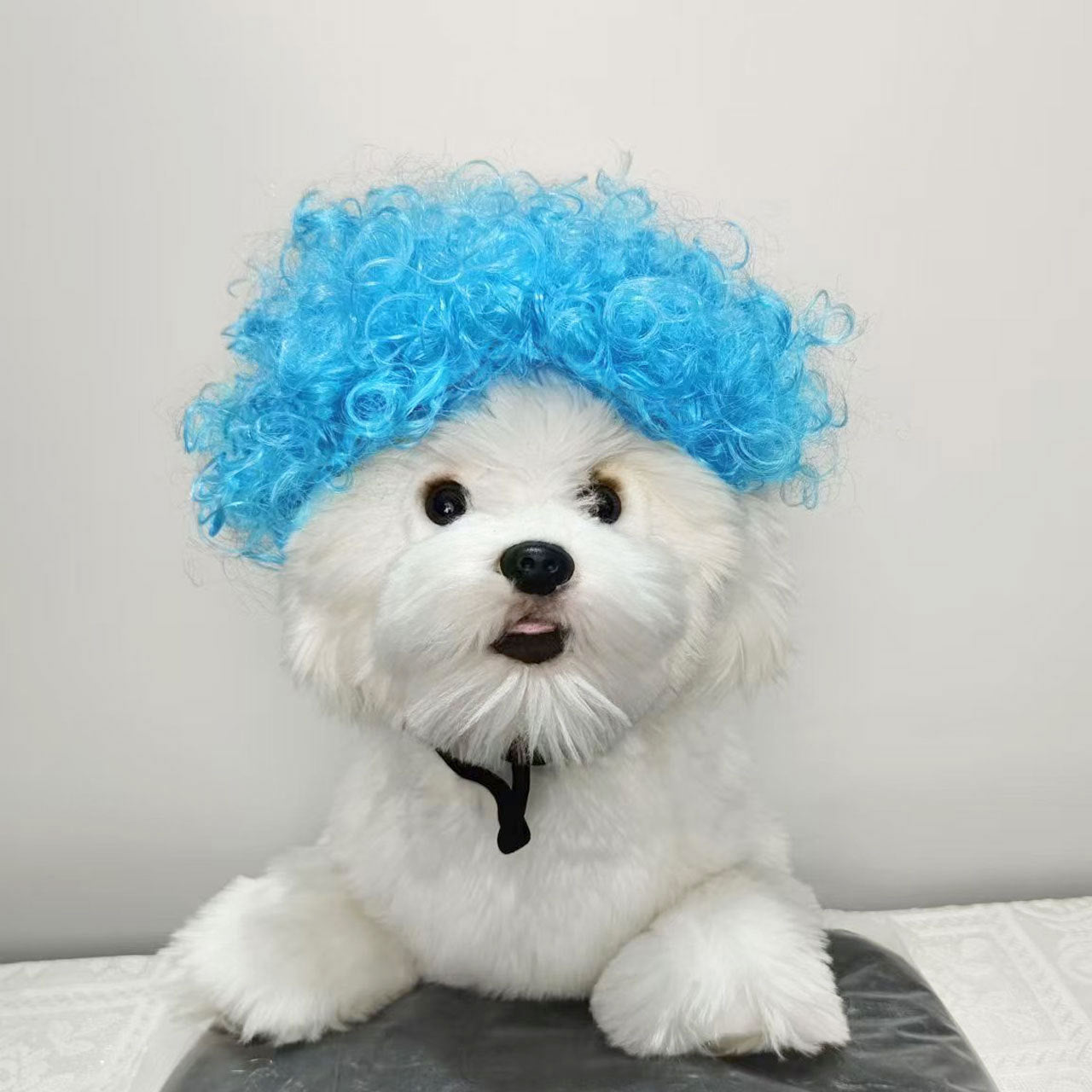 Halloween Pet Wig For Curly Or Straight Hair