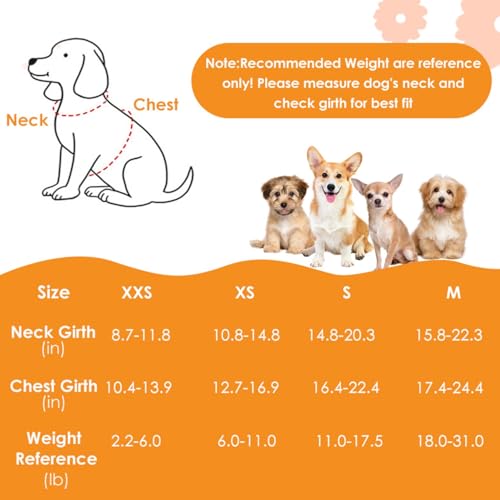 SlowTon Small Dog Harness - No Pull Dog Harness and Leash Set, Soft Mesh Lightweight Puppy Vest Harnesses, Adjustable Pet ...