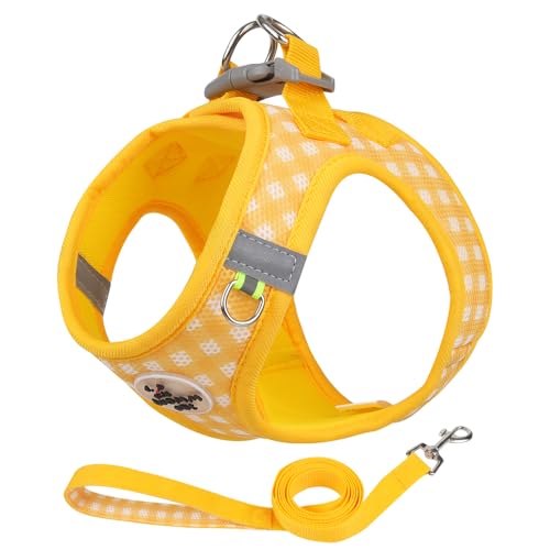 Soft Mesh Dog Harness and Leash Set, Step-in Escape Proof Vest Harnesses, Reflective Breathable Pet Harness Adjustable Pla...