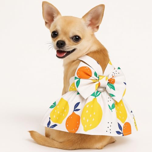 Small Dog Harness Dress Cat Princess Dresses Summer Lemon Clothes for Pet Female Puppy Outfit Cute Bow Tie Leash Set for S...