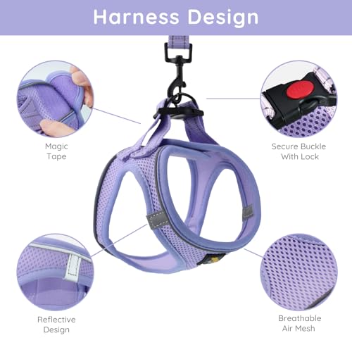 BELLA & PAL Step in Vest Harness for Small and Medium Dogs, No Pull Small Dogs Harness with Leash Set, Comfortable Air Mes...