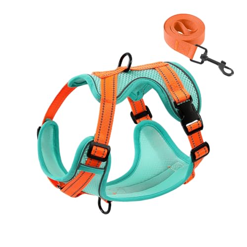 PAWDAY No-Pull Dog Harness with Dog Leash Breathable Mesh Adjustable Soft Padded Pet Vest Reflective for Small/Medium/Larg...
