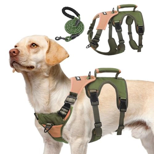 PUPTECK Escape Proof Dog Harness and Leash Set Upgraded No Pull Reflective Dog Vest with Lift Handle, Easy Control Pet Har...