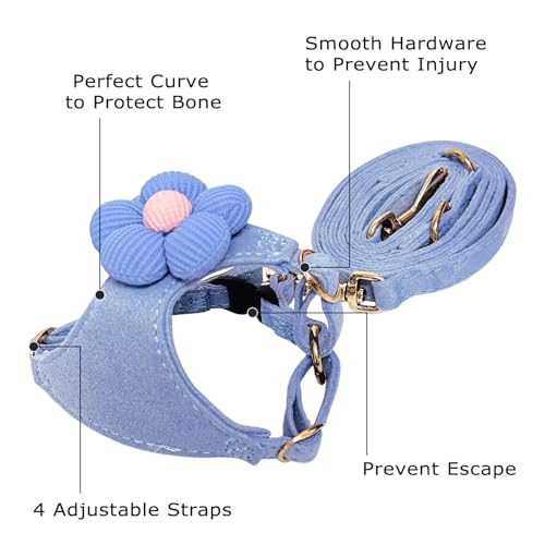 No Pull Dog Harness and Leash Set for Small Sized Dog Training; Puppy Harnesses with Multifunction Dog Leash, Soft Adjusta...