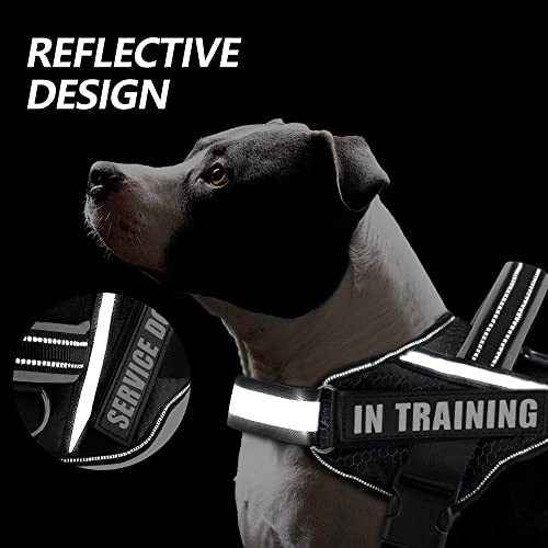 Dog Vest Harness and Patches Set, Animire in Training Service Dog Harness with 10 Dog Patches, Reflective Dog Vest with Ha...