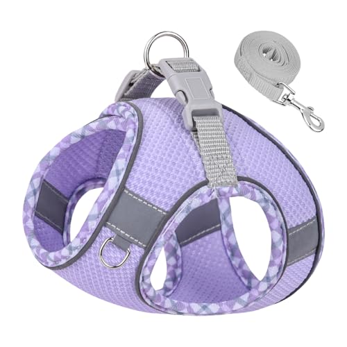 Dog Harness and Leash Set, No Pull Adjustable Reflective Pet Harness for Small Medium Dogs, Step in Vest Harness Easy Walk...