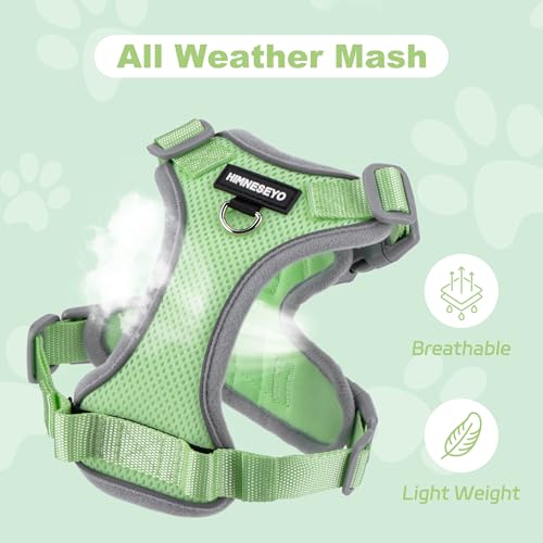HIMNESEYO Small Dog Harness and Leash Set, No Pull Adjustable Pet Harness for Small Dogs, Breathable Mesh Rflective Dog Ve...