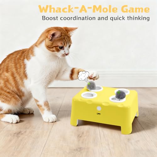 PETSWEET Cheese Box Interactive Cat Toy for Indoor Cats, 3-in-1 Whack a Mole Feather Toy, 3 Modes Rechargeable Auto Cat To...