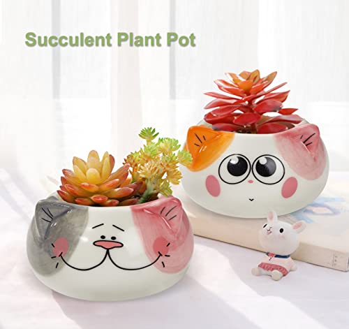 Kinforse Scented Candles - 6 Pack Novelty Gifts for Women's Birthday, Unique Cat-Themed Presents
